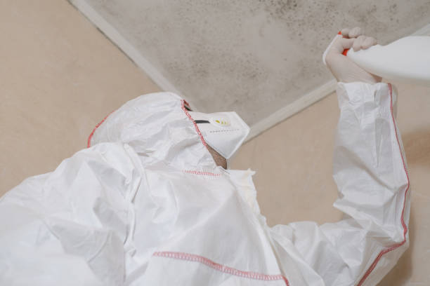 Best Certified Mold Removal  in Saginaw, TX