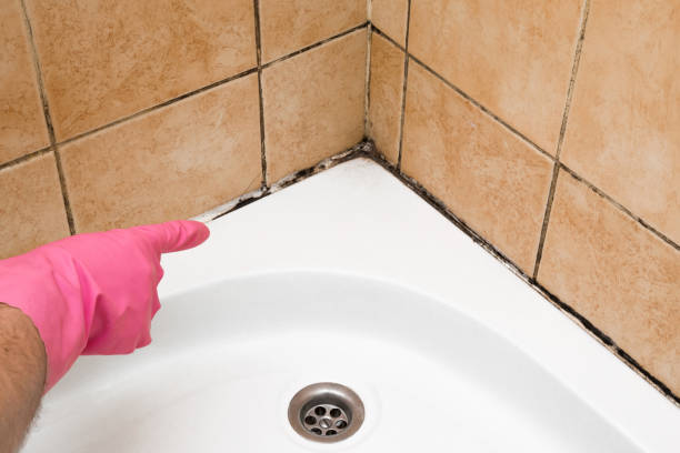 Best Emergency Mold Removal  in Saginaw, TX